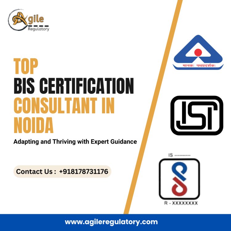 The Strategic Advantage: Partnering with a BIS Consultant for Competitive Edge.