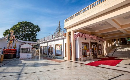 Explore Mountains with Best Himachal Pradesh Tour Packages