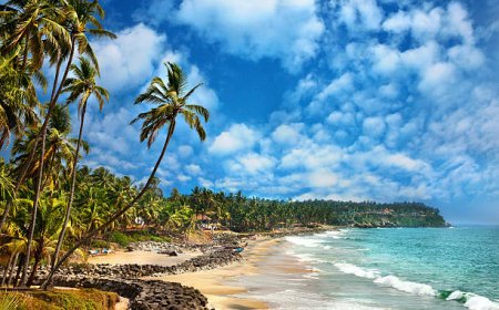 Best Kerala Holiday Packages for a Scenic South India Escape