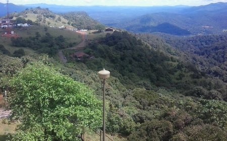 Discover Talacauvery Wildlife Sanctuary: A Hidden Gem of Coorg