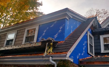 Why Skilled Siding Contractors Are Essential for Long-Term Durability