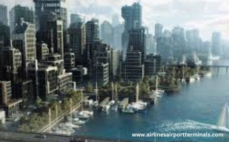 DFW Southwest Airlines Terminal: Your Complete Guide to Check-In, Gates, and Amenities