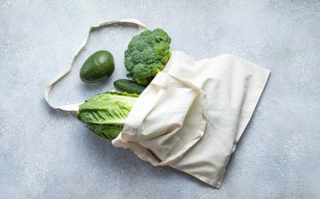 From Supermarkets to Homes: The Journey of Biodegradable Grocery Bags