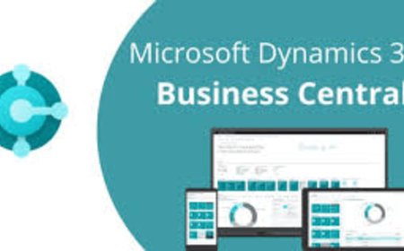 Microsoft Dynamics 365 Partners for Business Process Optimization