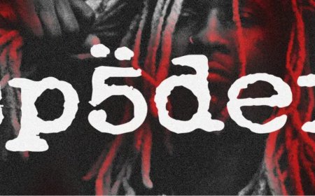 Exploring the Rise of the Spider Hoodie in Youth Fashion Today