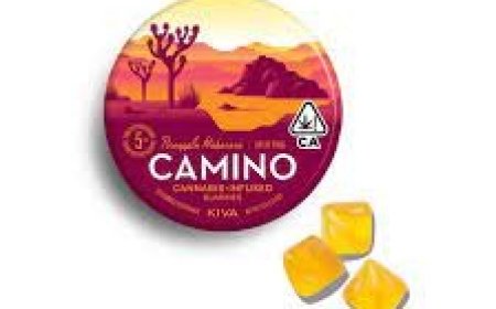 Camino Delivery in Fullerton: Elevating Edible Experiences with Every Dose