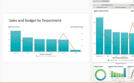 What You Need To Know About SAS Using Microsoft 365 