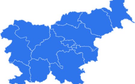 Slovenia Import Data: A Complete Guide for Trade Intelligence