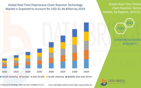 Real-Time Polymerase Chain Reaction Technology Market: Insights and Competitive Analysis