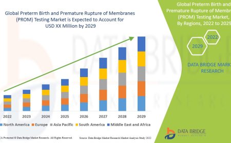 Preterm Birth and Premature Rupture of Membranes (PROM) Testing Market: Size, Share, and Future Growth