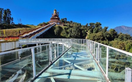 Experience Thrill and Serenity at the Stunning Pelling Skywalk