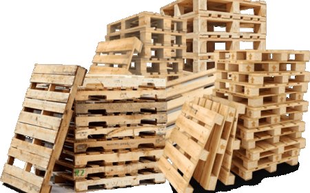 Pallet Companies Leading Efficient and Sustainable Supply Chain Solutions