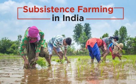 Know about Subsistence farming and its information