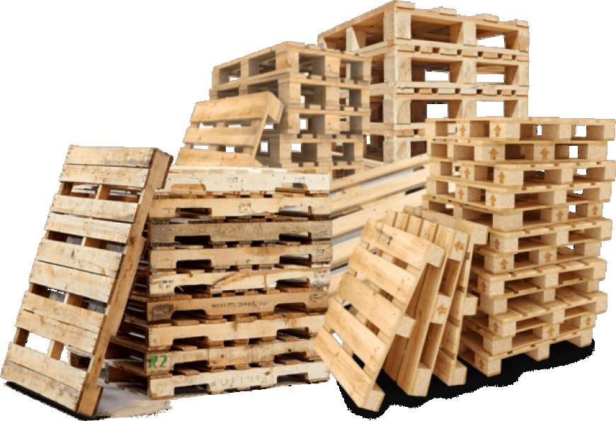 Pallet Companies Leading Efficient and Sustainable Supply Chain Solutions