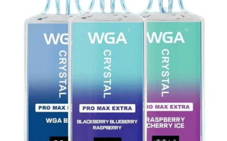WGA Crystal Pro Max Extra 15000 Puffs Box of 10