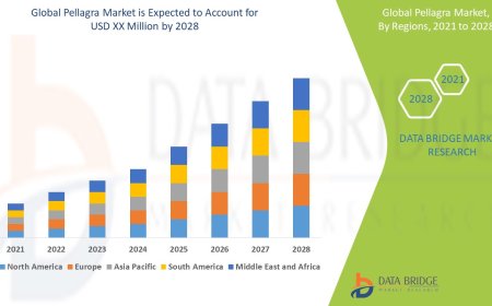 Pellagra Market Research Report: Share, Growth, Trends and Forecast By 2028