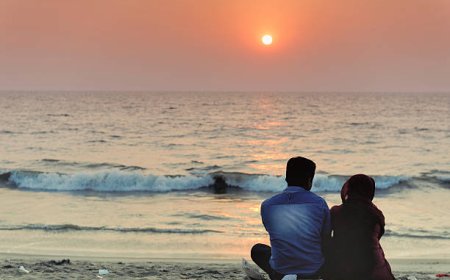Romantic Kerala Packages for Couples: Nature & Serenity