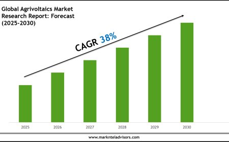 Agrivoltaics Market Insights 2025–2030: Value, Share & Analysis