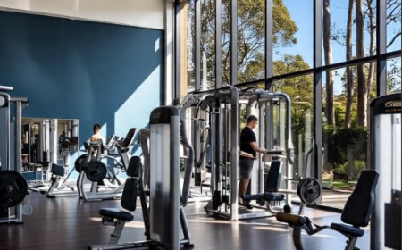 Looking for the Best Gym Sydney? Here Are the Top Choices in 2025
