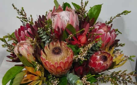 Top 5 Occasions to Use Flower Delivery in Parkville