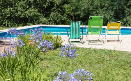 In Ground Pools Murfreesboro TN: Features, Installation, and Use