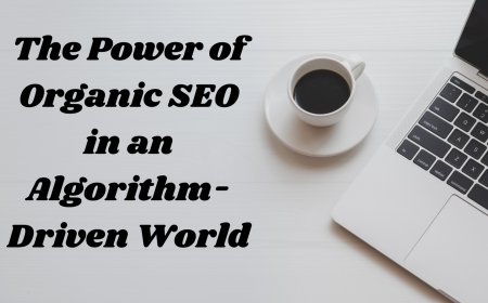 The Power of Organic SEO in an Algorithm-Driven World