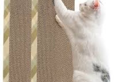 Why Every American Cat Owner Needs a Cat Scratching Mat