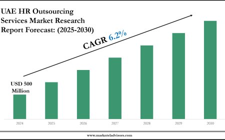 Forecasting the UAE HR Outsourcing Services Market: Key Metrics & Industry Overview
