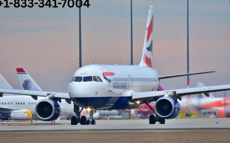 How British Airways MCO Phone Number Can Help
