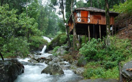 A Journey into the Green Paradise: Coorg Tour Packages