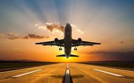 Frontier Airlines Raleigh Office Address: What You Need to Know Before You Travel