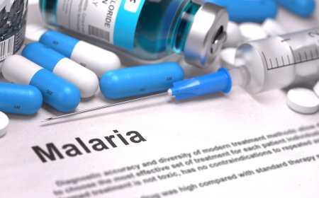 Can Malaria Be Cured? Exploring Treatment Options Today