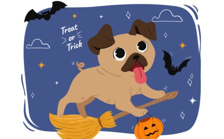 35 Halloween Dog Puns That’ll Make You Sit, Stay, and Laugh
