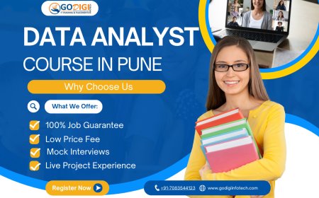 Master Your Career with the Best Data Analyst Course in Pune