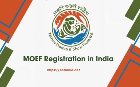 MOEF Registration in India: Why Your Business Needs It and How to Get It Done Smoothly