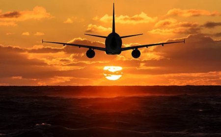 Frontier Airlines Raleigh Office Address : Where to Find Reliable Travel Assistance