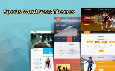 Which Sports WordPress Themes Score High on Performance?