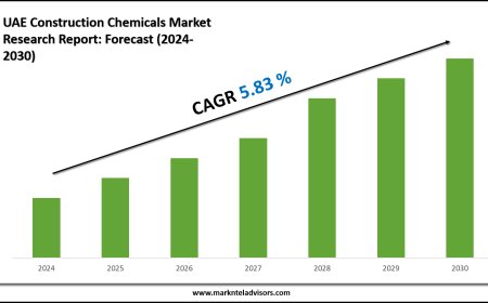 2024–2030 UAE Construction Chemicals Market Snapshot: Growth, Value & Forecast