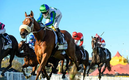 A Comprehensive Guide to the Best Betting Sites in Australia