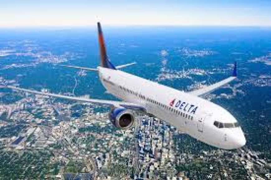 Your Complete Guide to the Delta Airlines Los Angeles Office in California