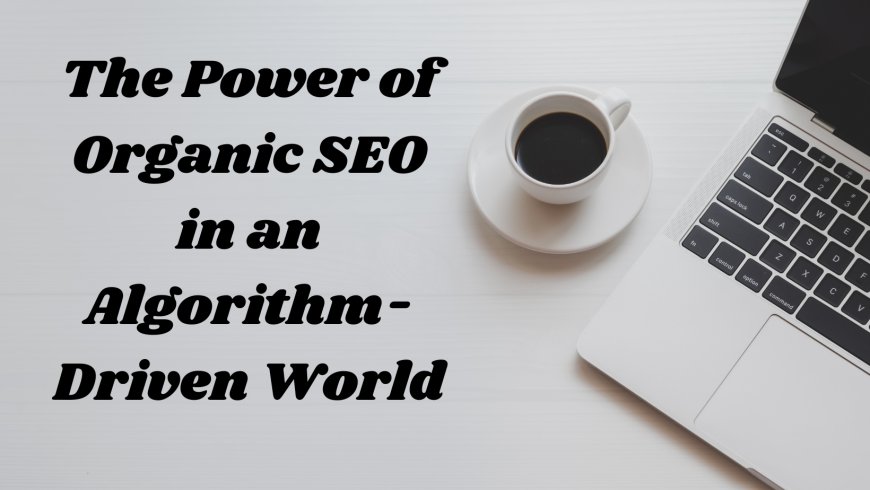 The Power of Organic SEO in an Algorithm-Driven World
