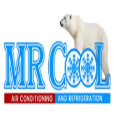 Mr Cool